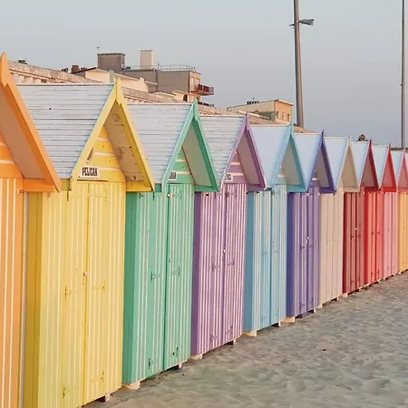 Bel Proche Dunes Et Apartment