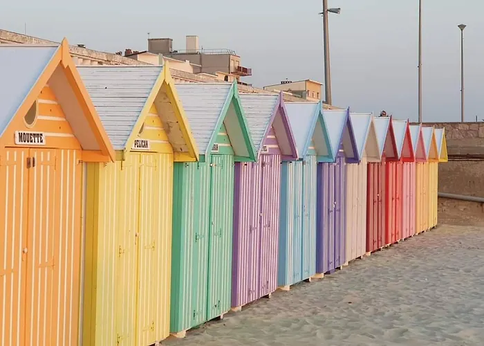 Bel Proche Dunes Et Appartement