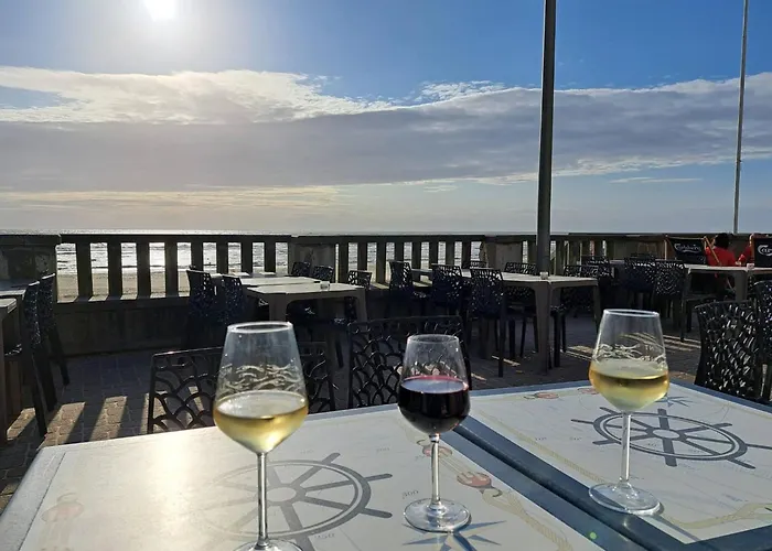 Bel Proche Dunes Et Appartement