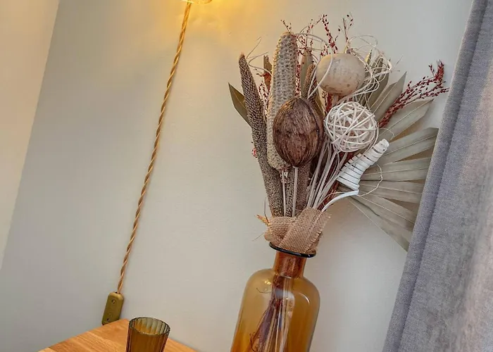 Bel Proche Dunes Et Appartement *